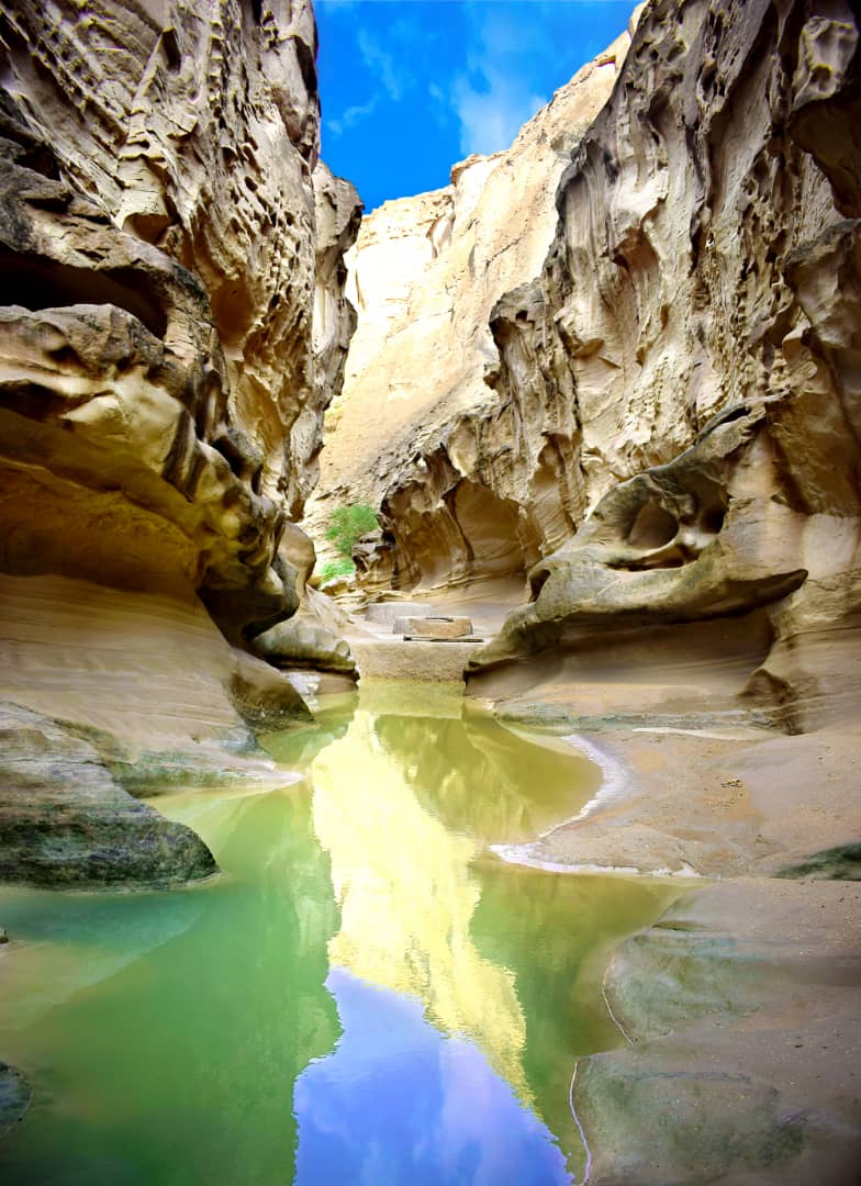 کسب رتبه سوم نخستین فسیتوال ملی زمین شناسان جوان ایران برای قشم

