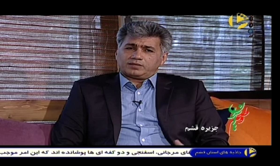 مناطق آزاد فقط مرکز واردات نیستند/ رشد 50 درصدی صادرات از منطقه آزاد قشم