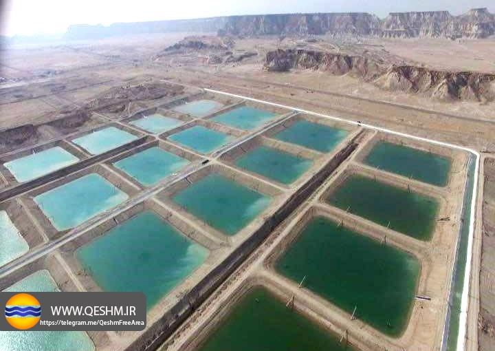 بهره برداری از 120 استخر پرورش میگو تا پایان امسال