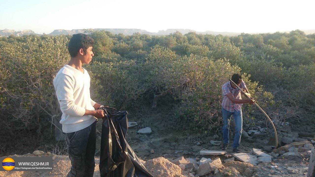 پاکسازی محوطه جنگل حرا در روستای سهیلی قشم 