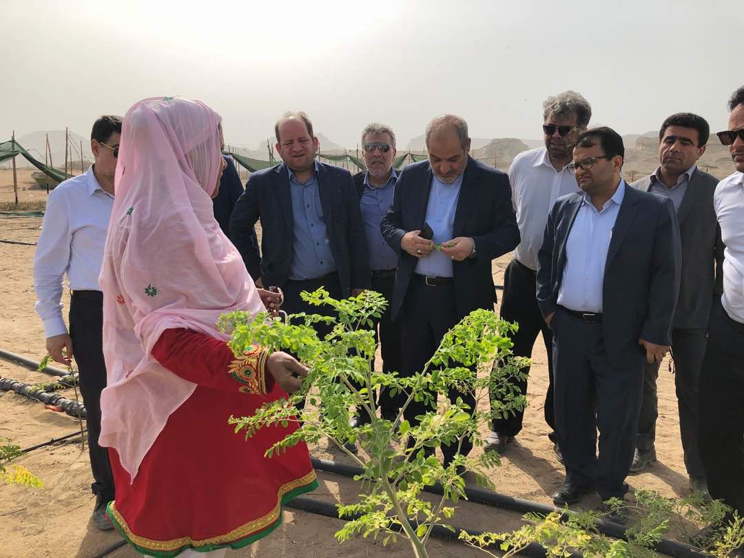 اَگری توریسم مجموعه ای برای توسعه گردشگری جزیره قشم