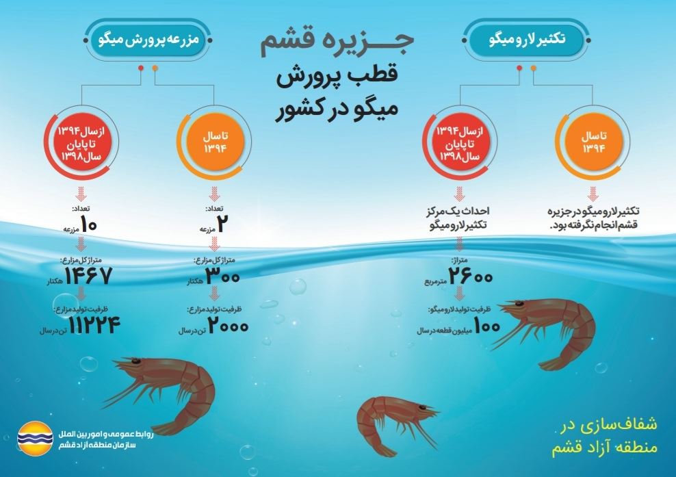 جزیره قشم قطب پرورش میگو در کشور