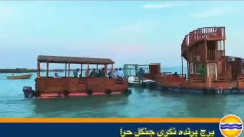بازدید هیأت مدیران وزارت امور خارجه از جنگل های حرای جزیره قشم